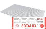 Сотовый поликарбонат 6,0 мм SOTALUX БНП 6000*2100 мм прозрачный